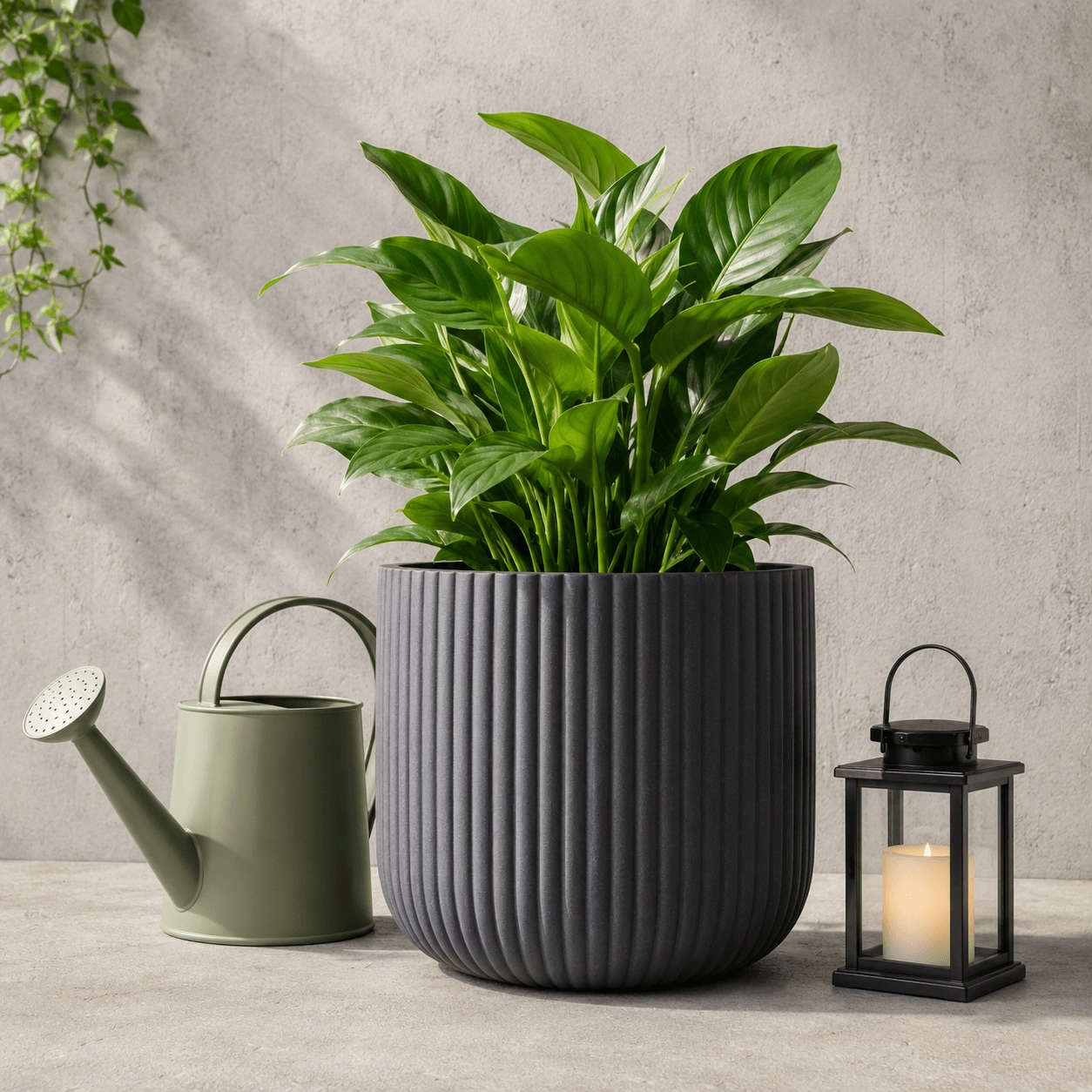 Garden, Plants & Outdoor Living